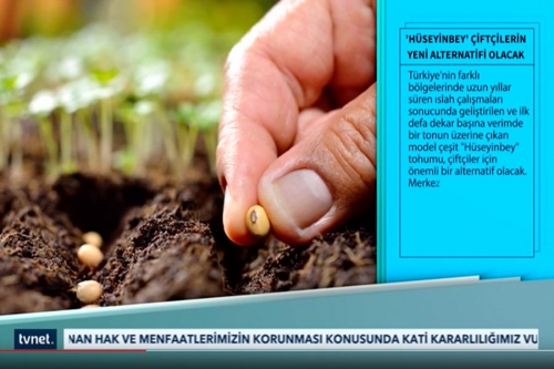 Hüseyinbey variety is featured on TVNET for breaking a yield record