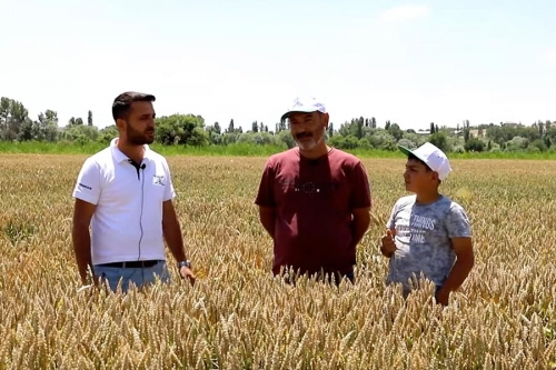 Лицо фермера улыбается в Кайсери с Хусейнбеем